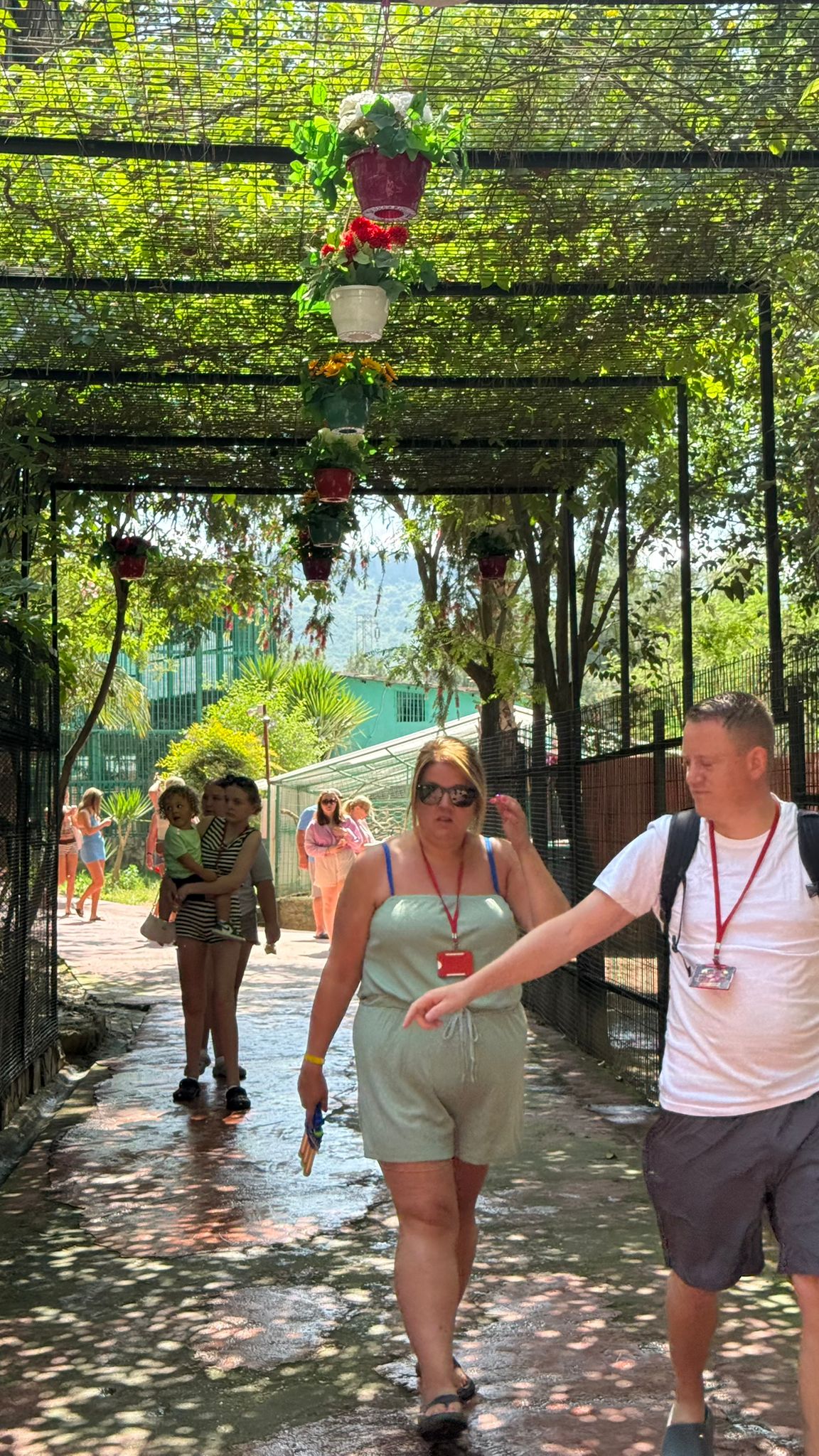 Side Lion Park Tour | Both Way Transfer is Included