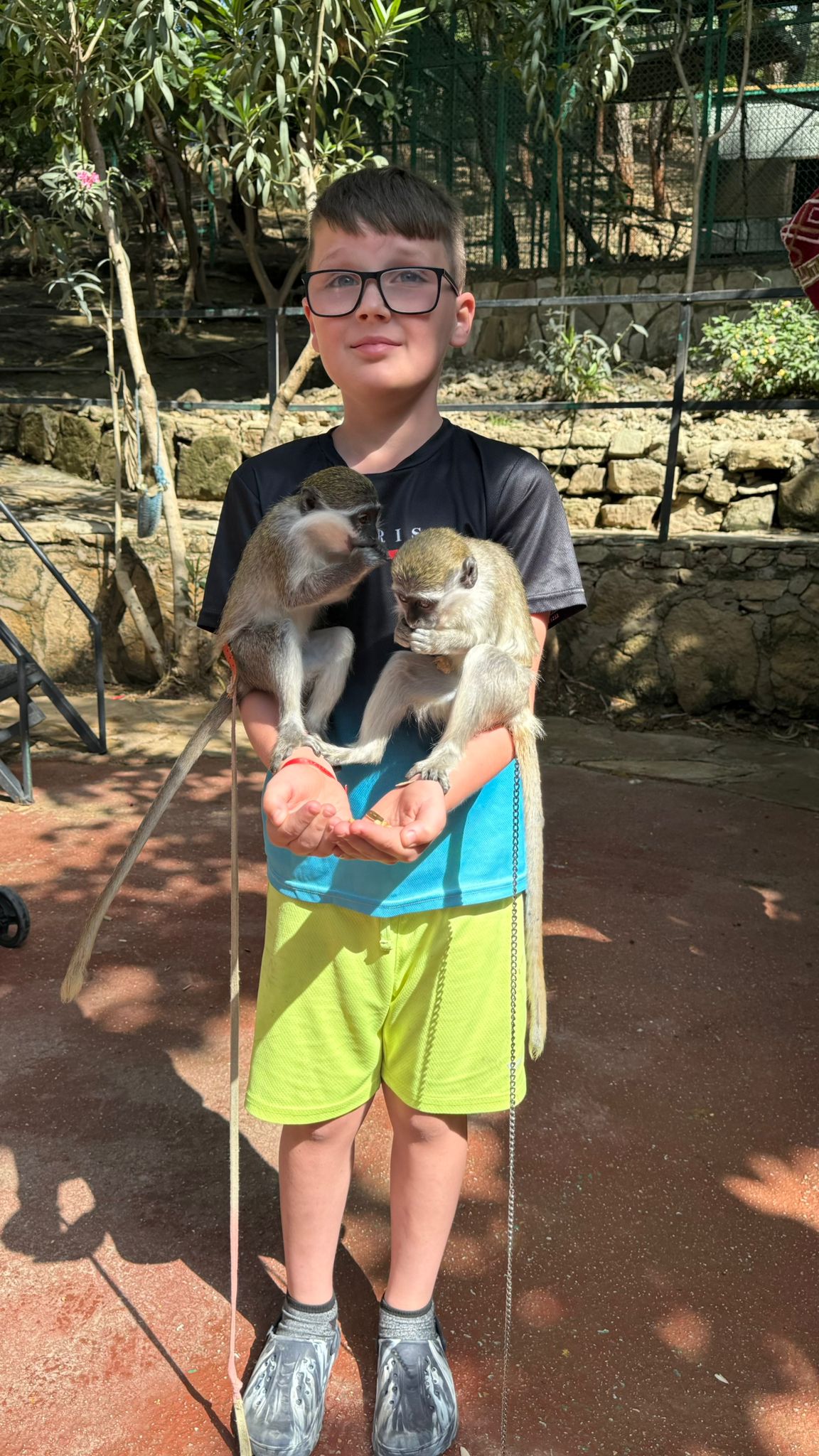 Private Lion Encounter & Zoo Experience From Alanya - Side