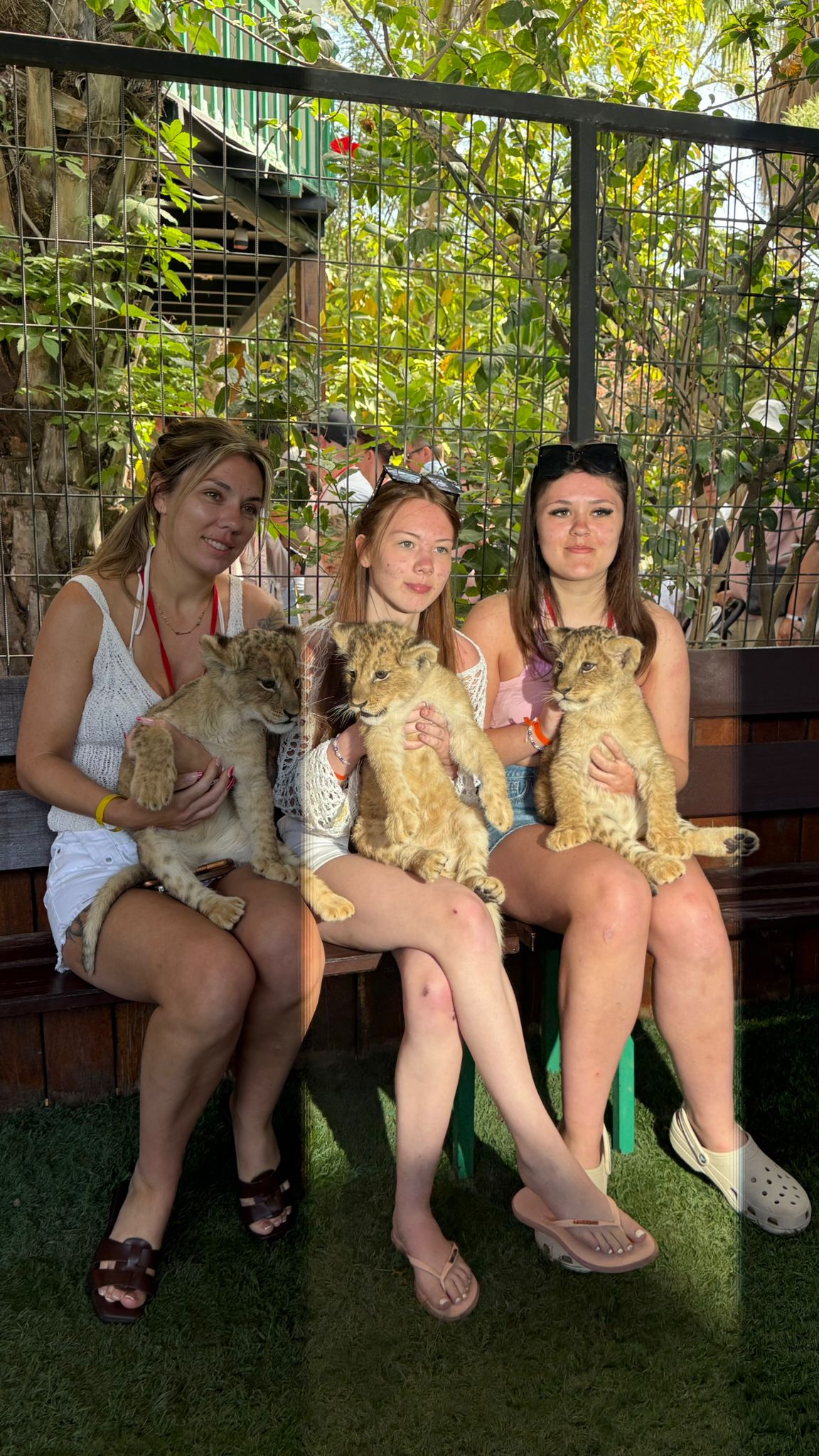 Private Lion Encounter & Zoo Experience From Alanya - Side