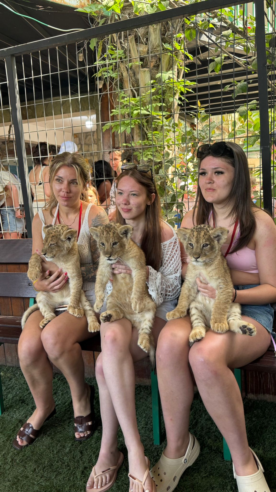 Private Baby Lion & Zoo Experience  From Antalya - Belek