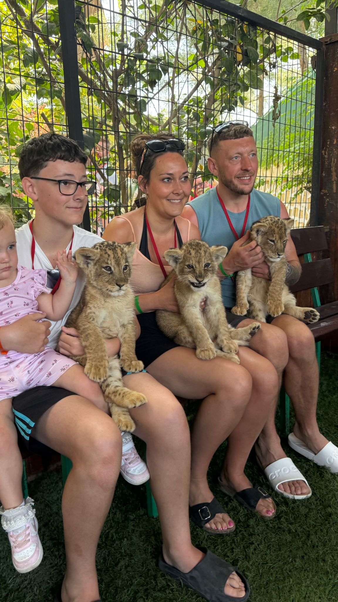 Private Baby Lion & Zoo Experience  From Antalya - Belek